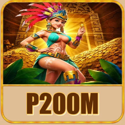 Troubleshooting p200m